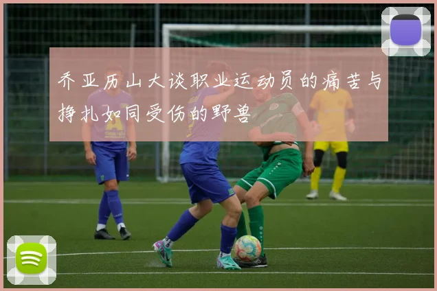 乔亚历山大谈职业运动员的痛苦与挣扎如同受伤的野兽