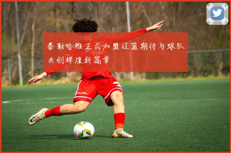 泰勒哈维正式加盟辽篮期待与球队共创辉煌新篇章